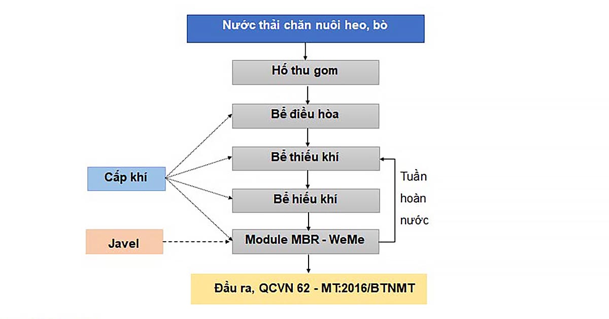 Xử lý nước thải chăn nuôi bằng công nghệ MBR