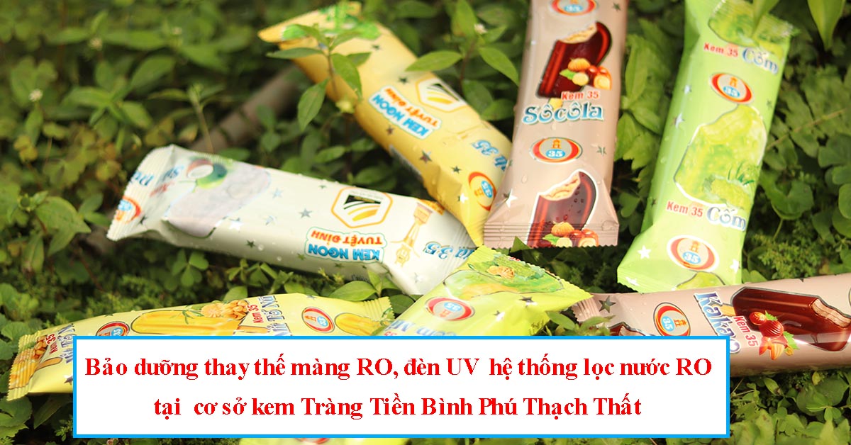 Bảo dưỡng thay thế màng RO và đèn UV hệ thống lọc nước RO tại Thạch Thất