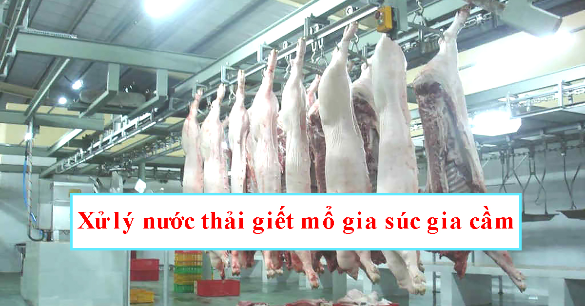 Xử lý nước thải giết mổ gia súc gia cầm