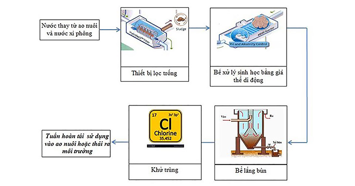 Quy trình Xử lý nước thải nuôi tôm trong hệ tuần hoàn RAS
