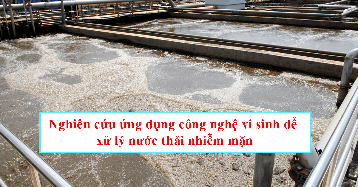 Nghiên cứu ứng dụng công nghệ vi sinh để xử lý nước thải nhiễm mặn