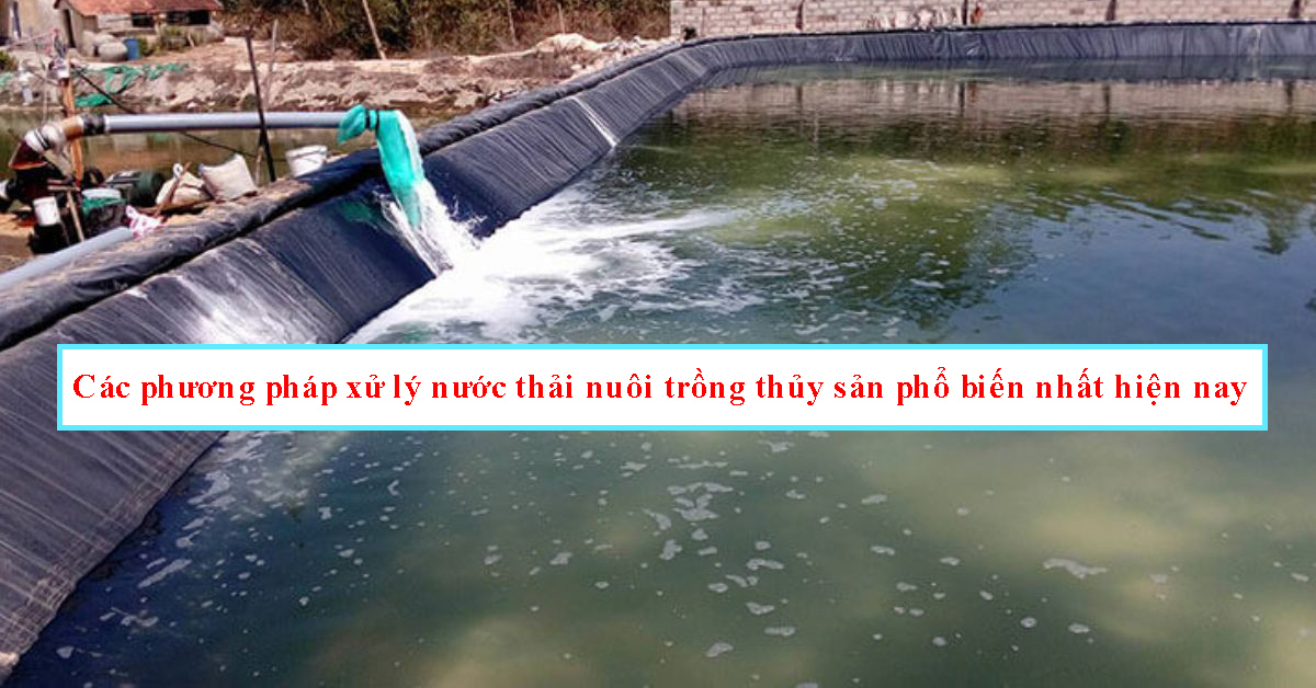Các phương pháp xử lý nước thải nuôi trồng thủy sản phổ biến nhất hiện nay