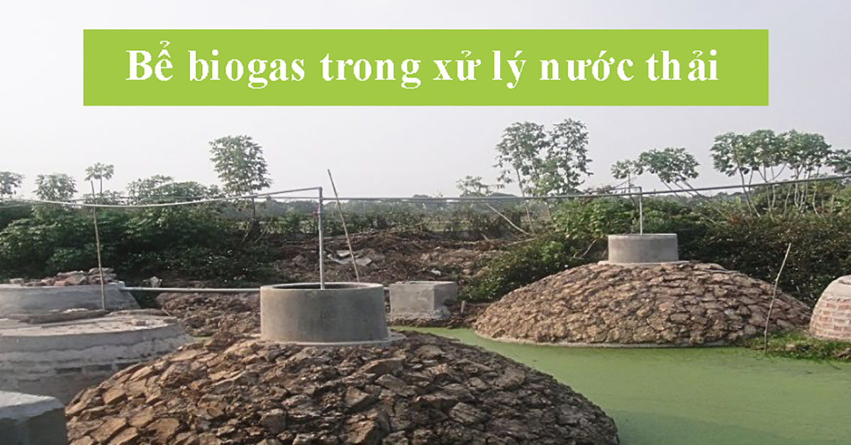Bể biogas trong xử lý nước thải