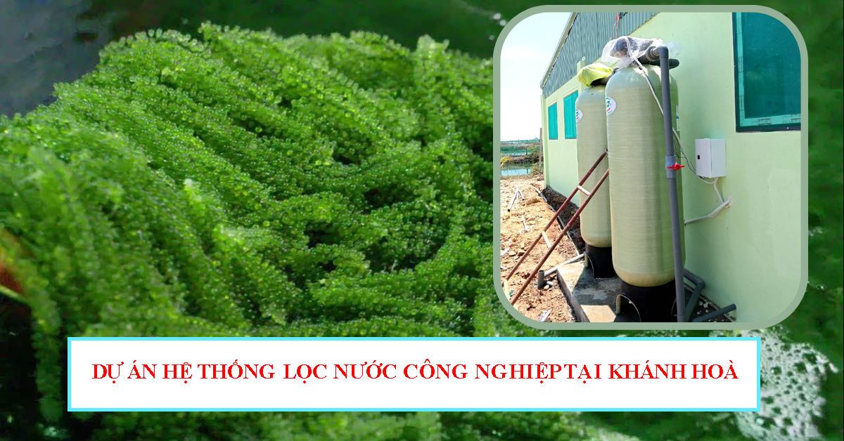 Dự án hệ thống lọc nước công nghiệp tại Khánh Hoà