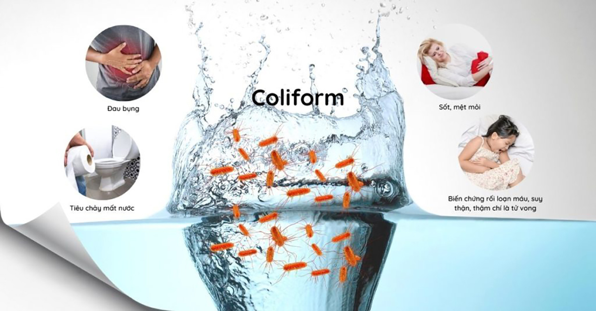 Tác hại của Coliform trong nước sinh hoạt