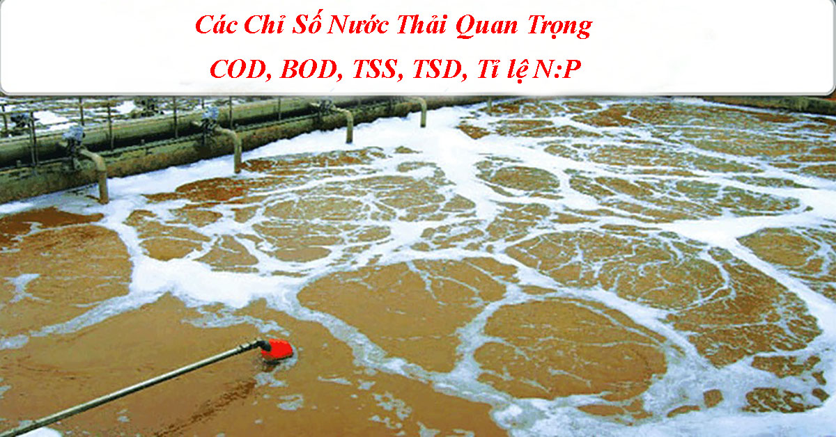 Chỉ Số Nước Thải