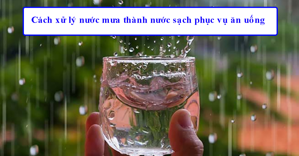 Cách xử lý nước mưa thành nước sạch phục vụ ăn uống