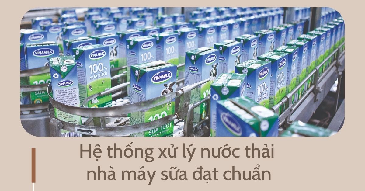 Hệ thống xử lý nước thải nhà máy sữa đạt chuẩn
