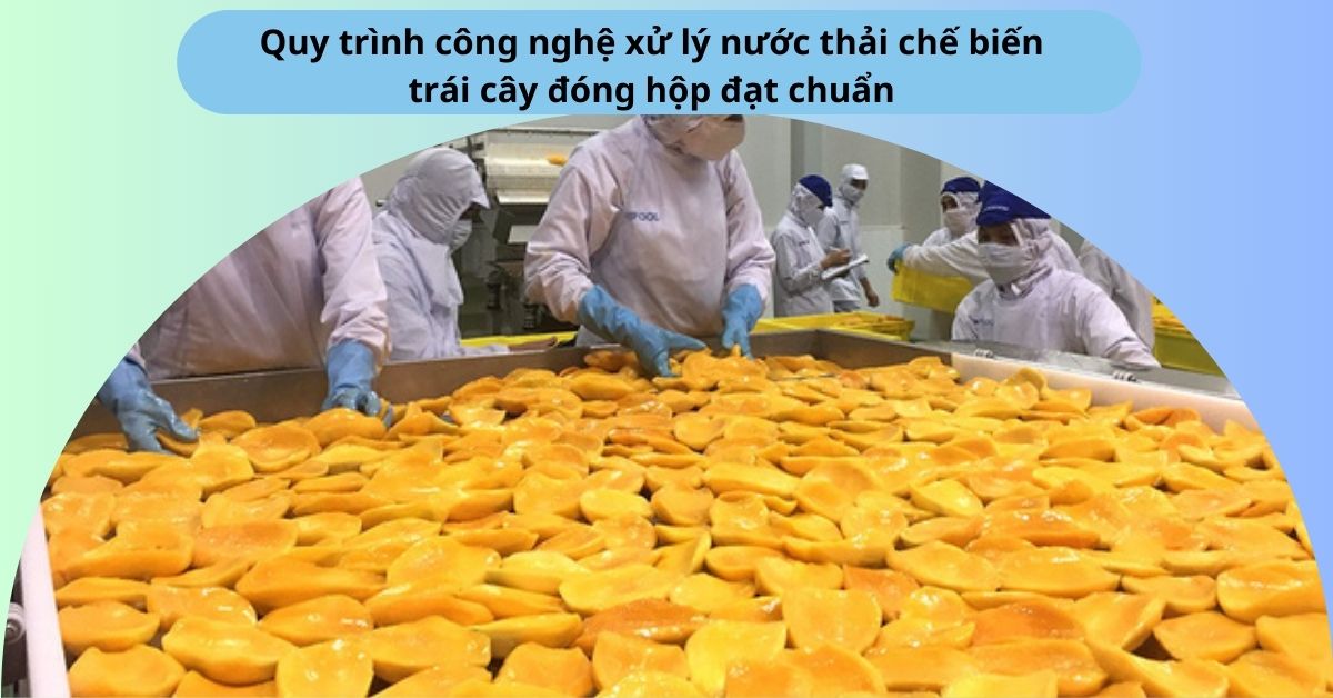 Quy trình công nghệ xử lý nước thải chế biến trái cây đóng hộp đạt chuẩn