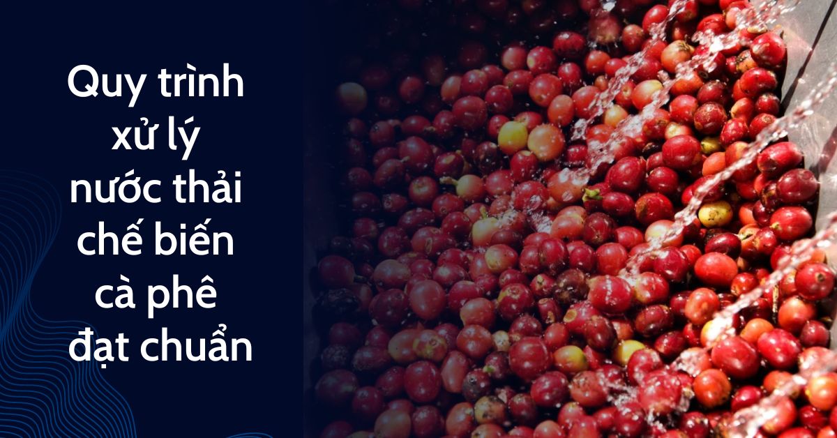 Quy trình xử lý nước thải chế biến cà phê đạt chuẩn