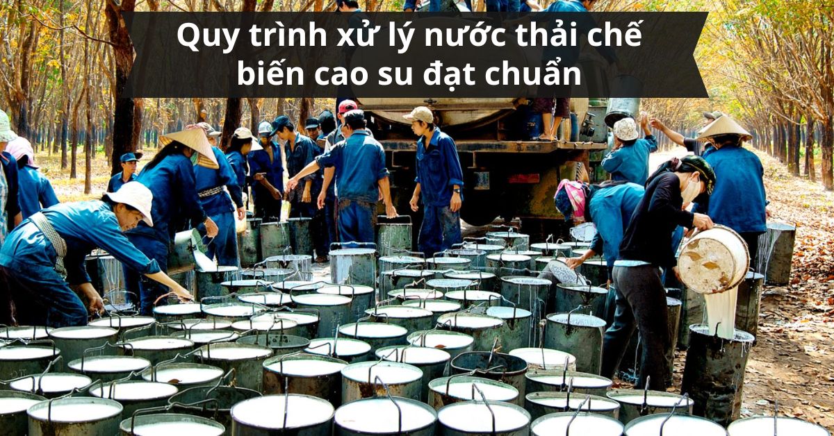 Quy trình xử lý nước thải chế biến cao su đạt chuẩn