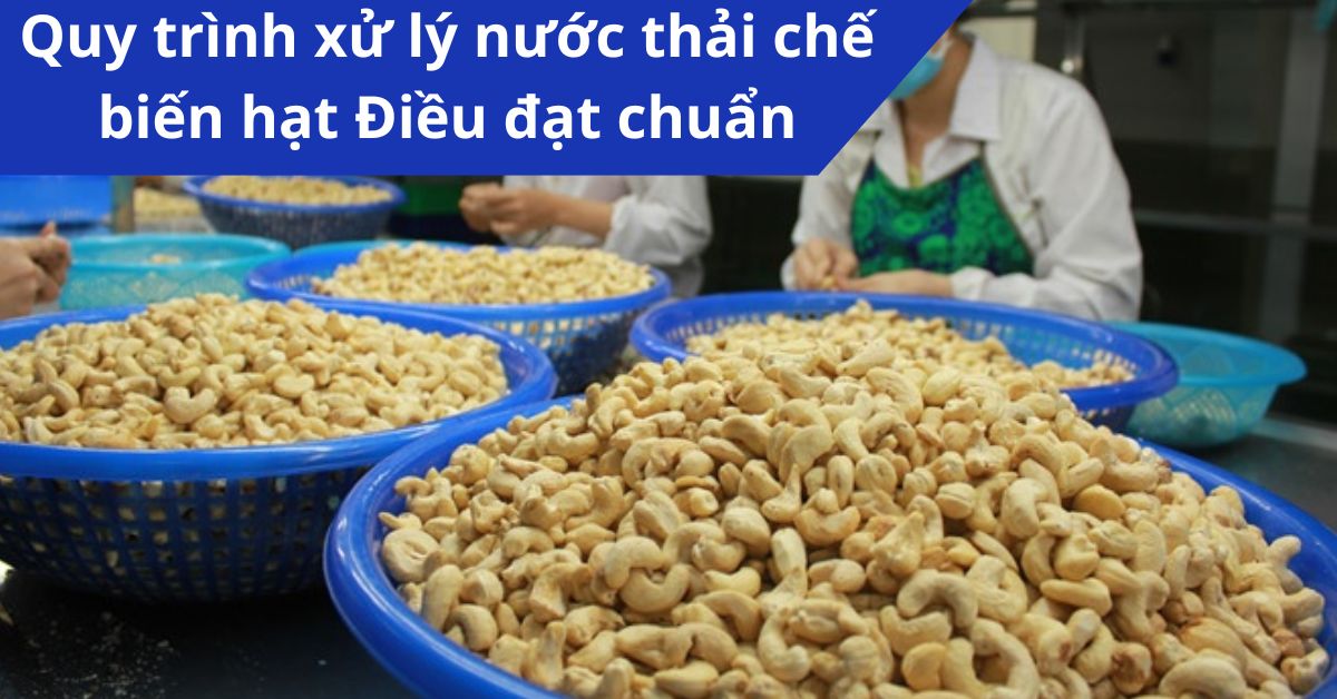 Quy trình xử lý nước thải chế biến hạt Điều đạt chuẩn