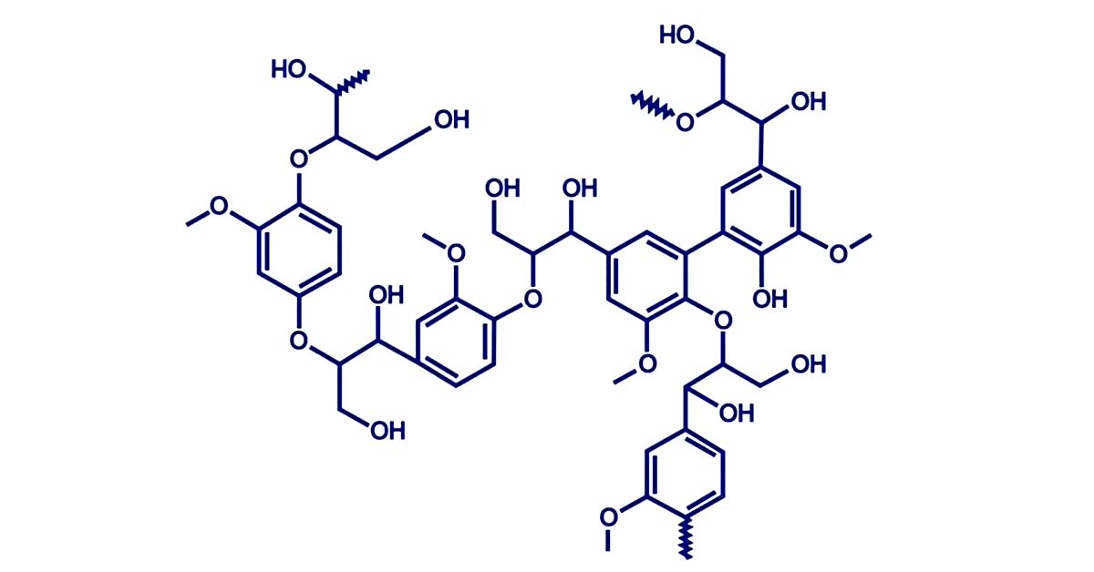Cấu trúc của lignin