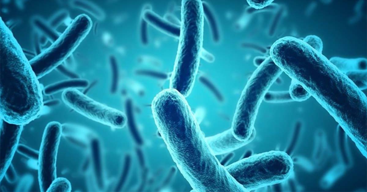 vi sinh vật kỵ khí trong xử lý nước thải