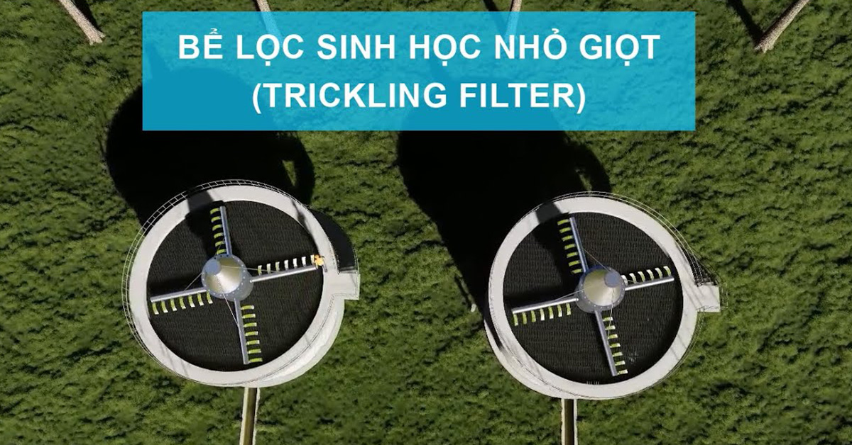 Bể lọc sinh học nhỏ giọt là gì? Cấu tạo và nguyên lý vận hành