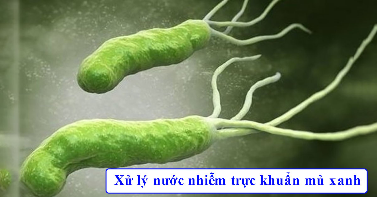 Xử lý nước nhiễm trực khuẩn mủ xanh