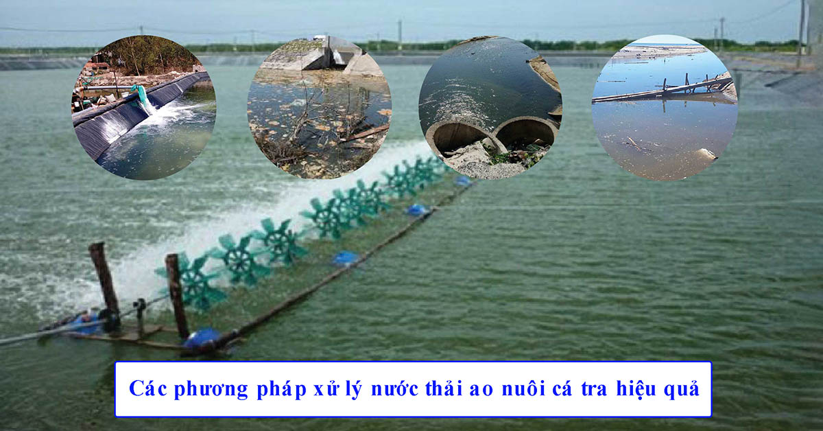 Các phương pháp xử lý nước thải ao nuôi cá tra hiệu quả