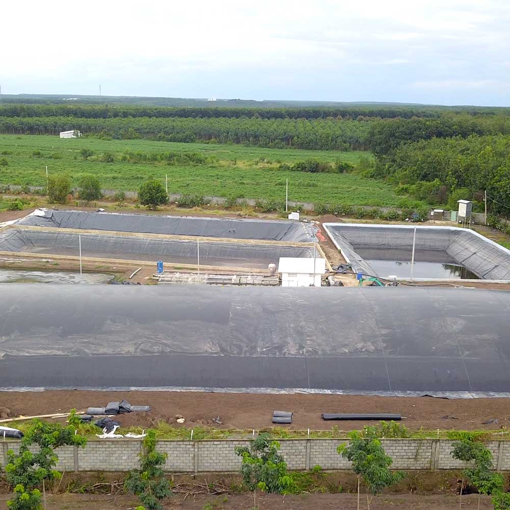 Hệ thống xử lý nước thải chăn nuôi 100m3/ngày đêm