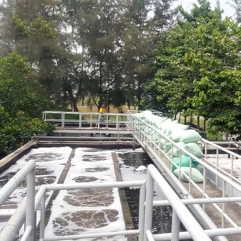 Hệ thống xử lý nước thải chăn nuôi 60m3/ngày đêm