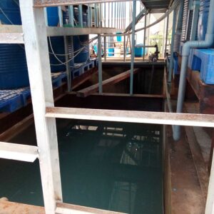 Hệ thống xử lý nước thải xi mạ 20m3/ngày đêm