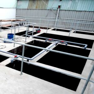Hệ thống xử lý nước thải chăn nuôi 20m3/ngày đêm