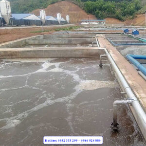 Hệ thống xử lý nước thải chăn nuôi 100m3/ngày đêm
