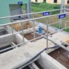 Hệ thống xử lý nước thải chăn nuôi 20m3/ngày đêm