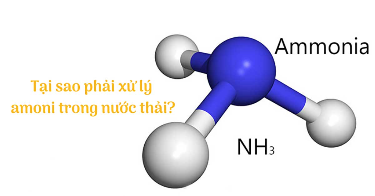 Amoni có thể chuyển hoá thành chất độc hại