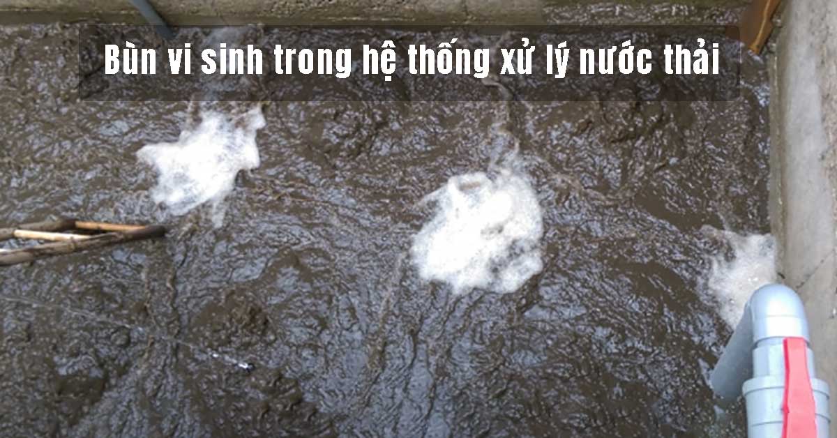 Bùn vi sinh trong hệ thống xử lý nước thải