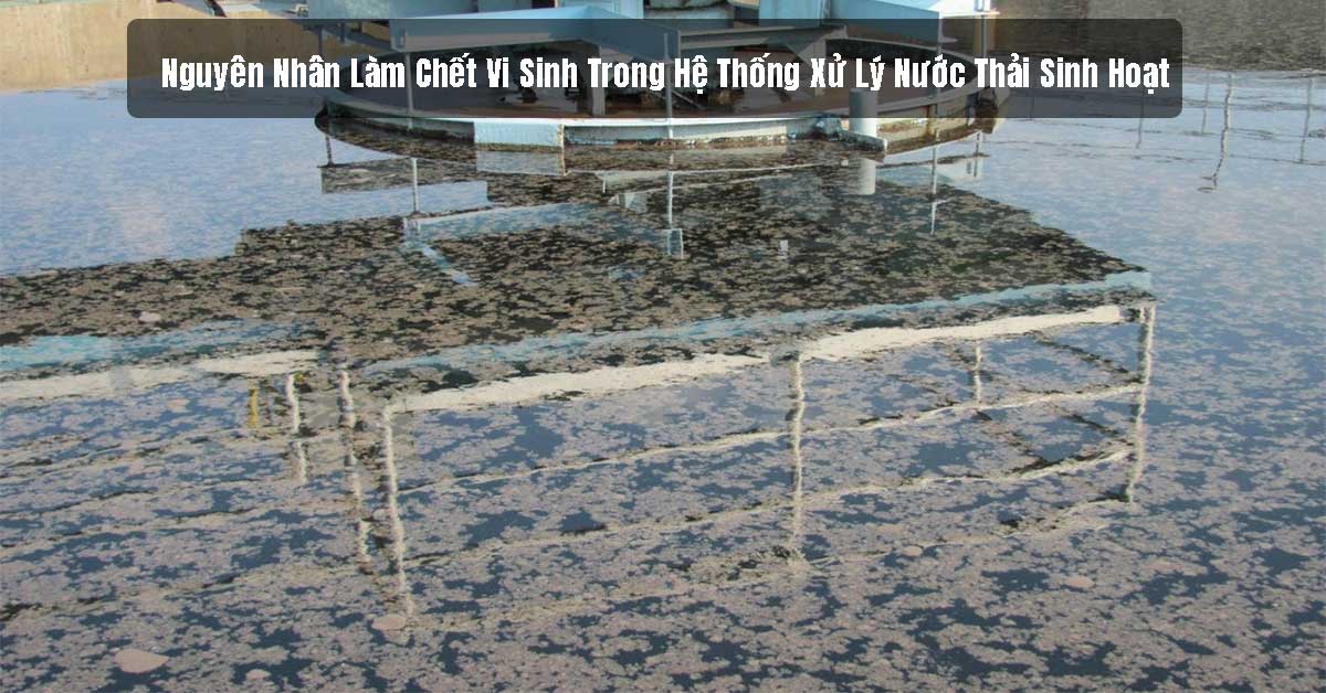 Nguyên Nhân Làm Chết Vi Sinh Trong Hệ Thống Xử Lý Nước Thải Sinh Hoạt Và Cách Khắc Phục