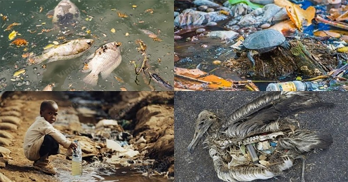Tác hại của nước thải chưa qua xử lý