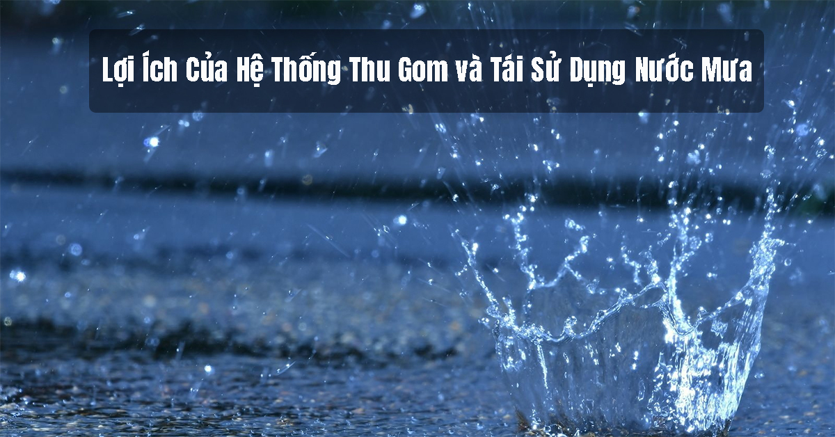 Lợi Ích Của Hệ Thống Thu Gom và Tái Sử Dụng Nước Mưa