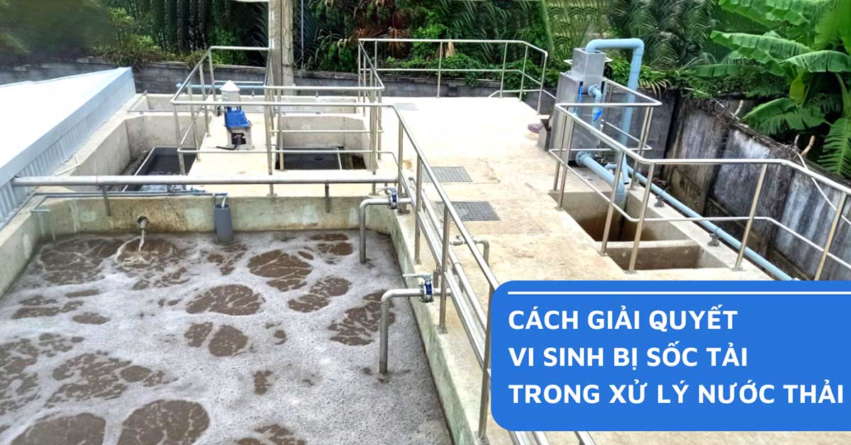 Cách Khắc Phục Vi Sinh Bị Sốc Tải Trong Xử Lý Nước Thải