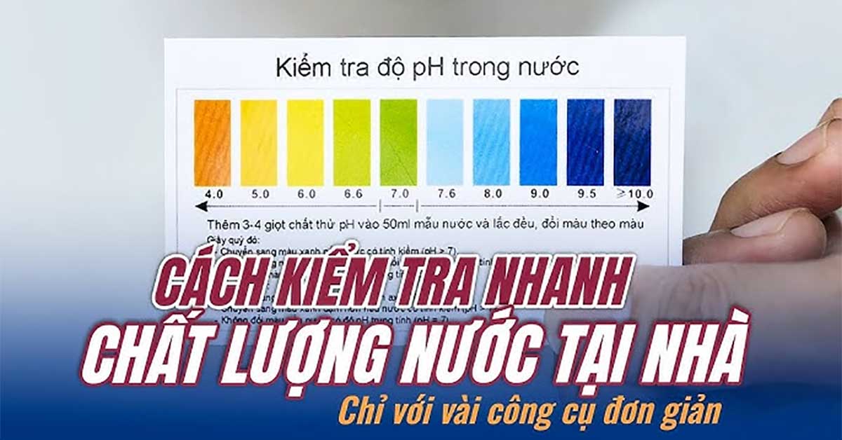 Hướng Dẫn Cách Tự Kiểm Tra Chất Lượng Nước Tại Nhà