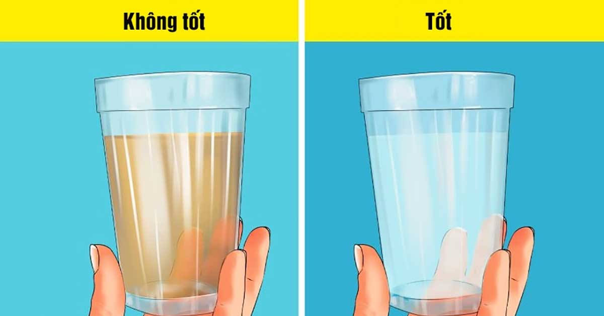 Tự kiểm tra chất lượng nước tại nhà bằng cảm quan