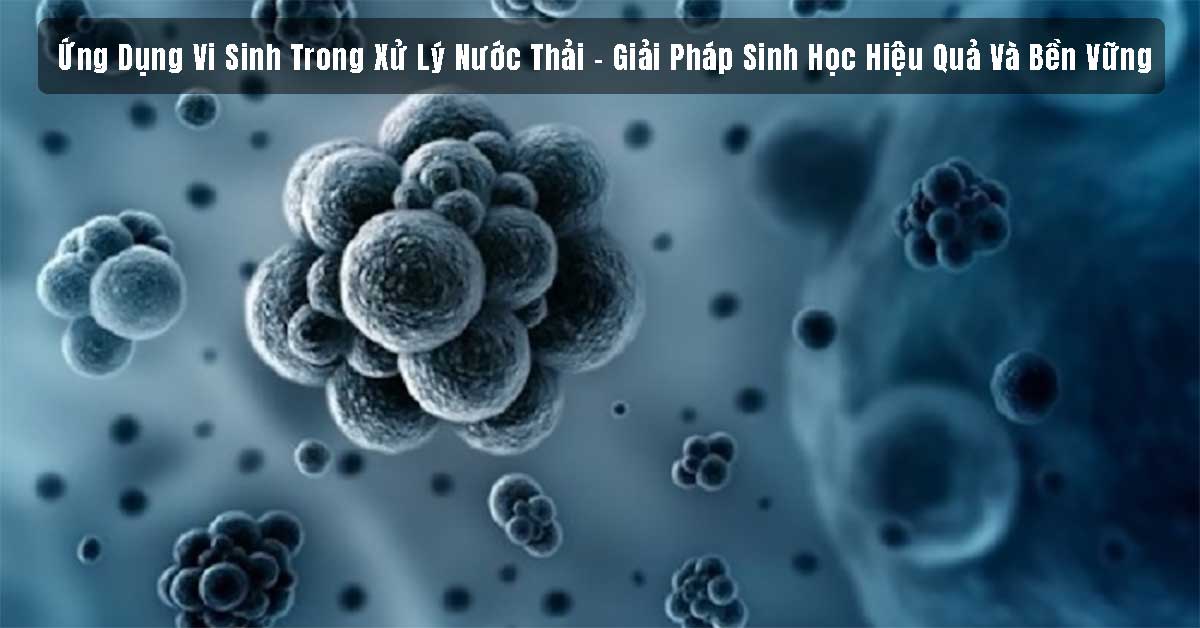 Ứng Dụng Vi Sinh Trong Xử Lý Nước Thải – Giải Pháp Sinh Học Hiệu Quả Và Bền Vững