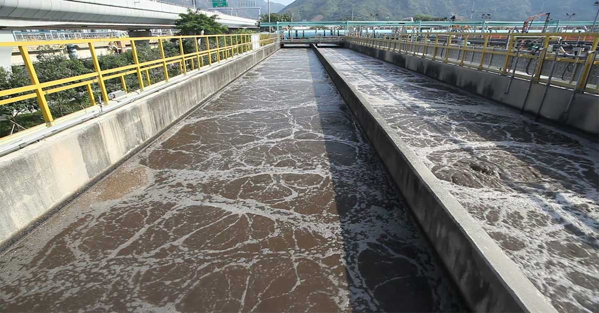 Xử lý nước thải bằng công nghệ sinh học