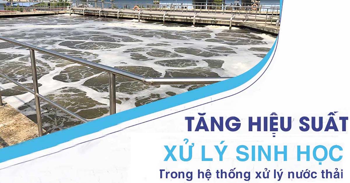 Làm Thế Nào Để Tăng Hiệu Suất Xử Lý Nước Thải Sinh Học?