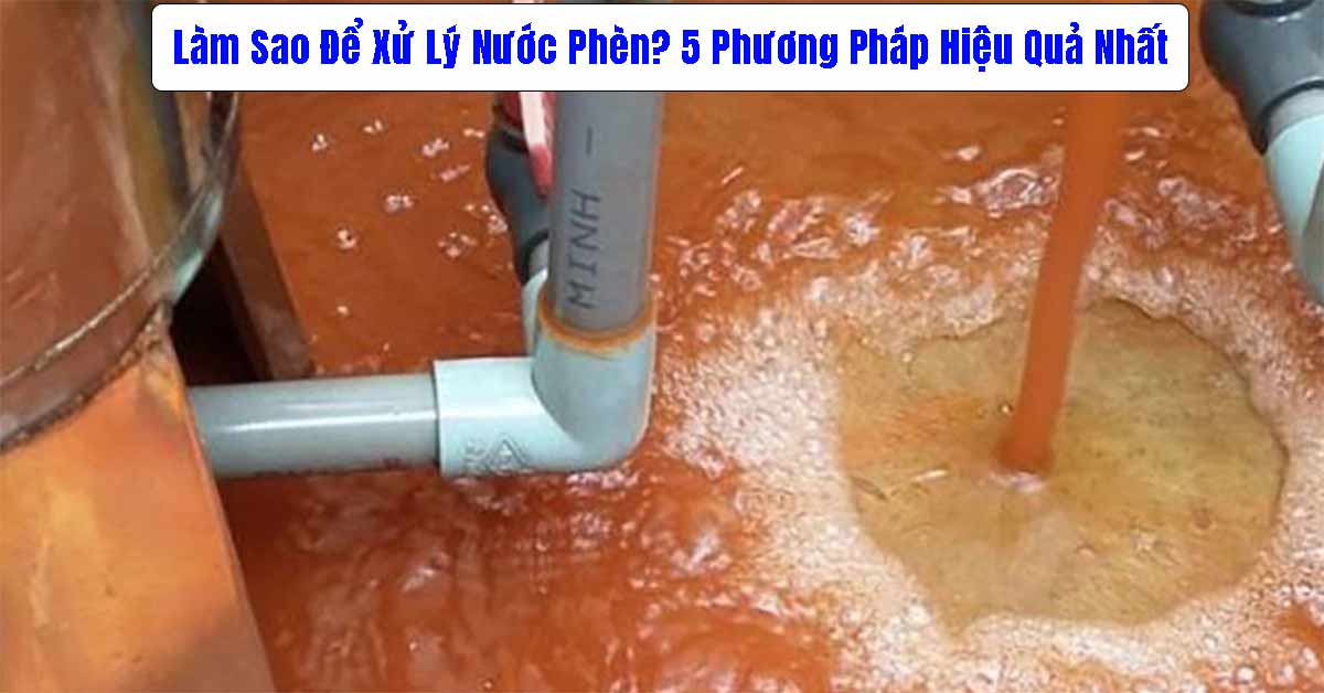 Làm Sao Để Xử Lý Nước Phèn? 5 Phương Pháp Hiệu Quả Nhất