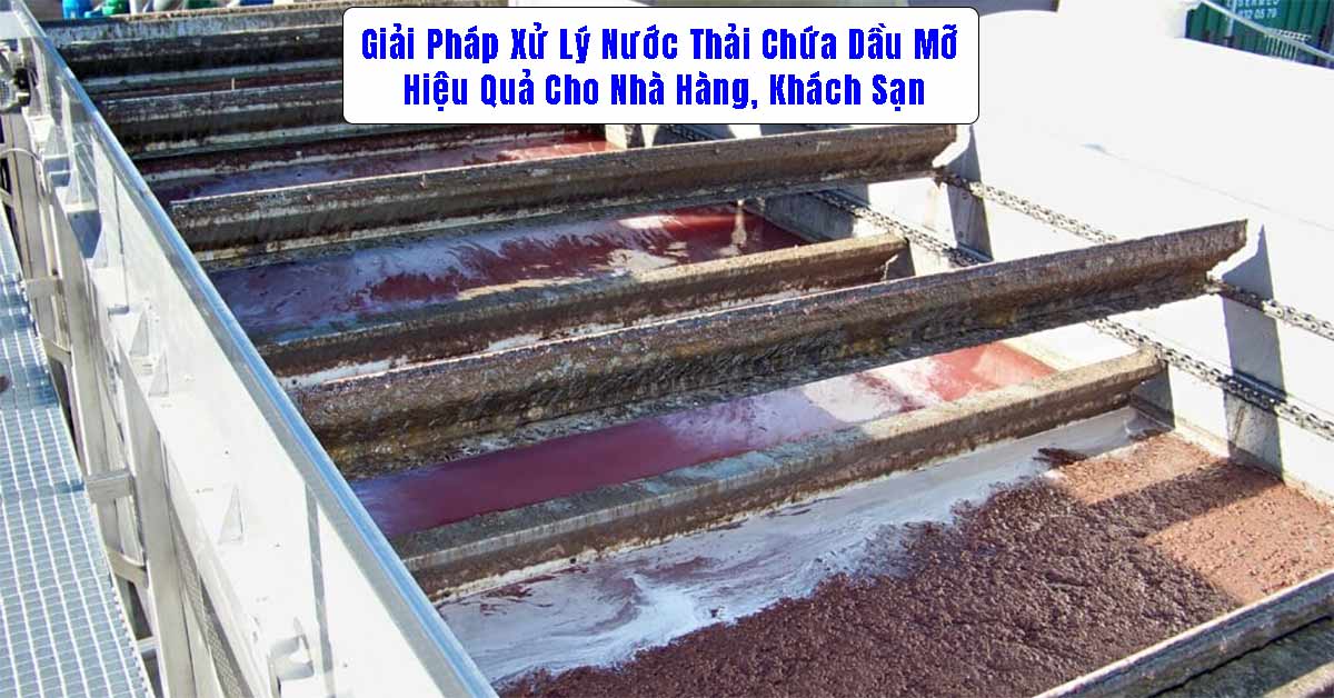 Giải Pháp Xử Lý Nước Thải Chứa Dầu Mỡ Hiệu Quả Cho Nhà Hàng, Khách Sạn