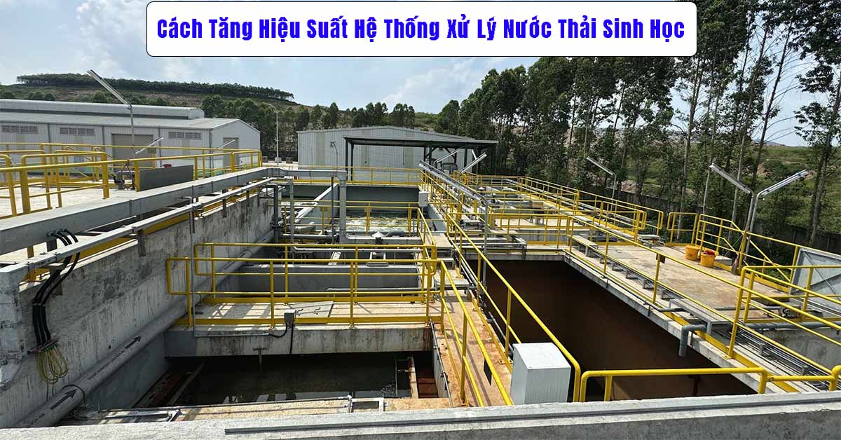 Cách Tăng Hiệu Suất Hệ Thống Xử Lý Nước Thải Sinh Học