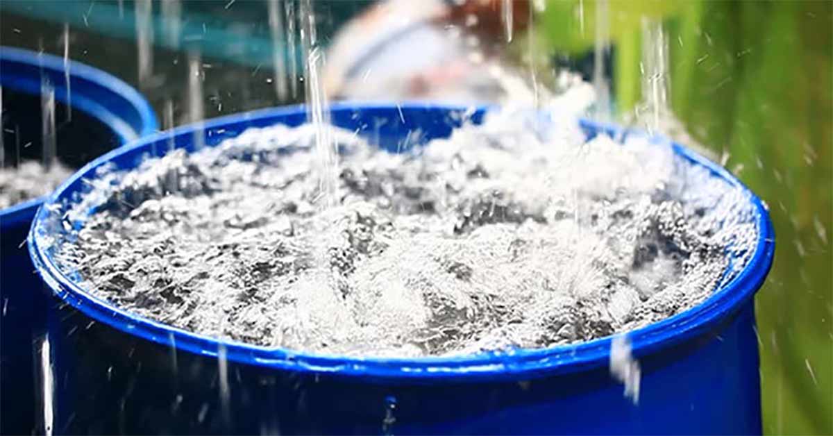 Tận dụng nước mưa để tưới sân, rửa sân