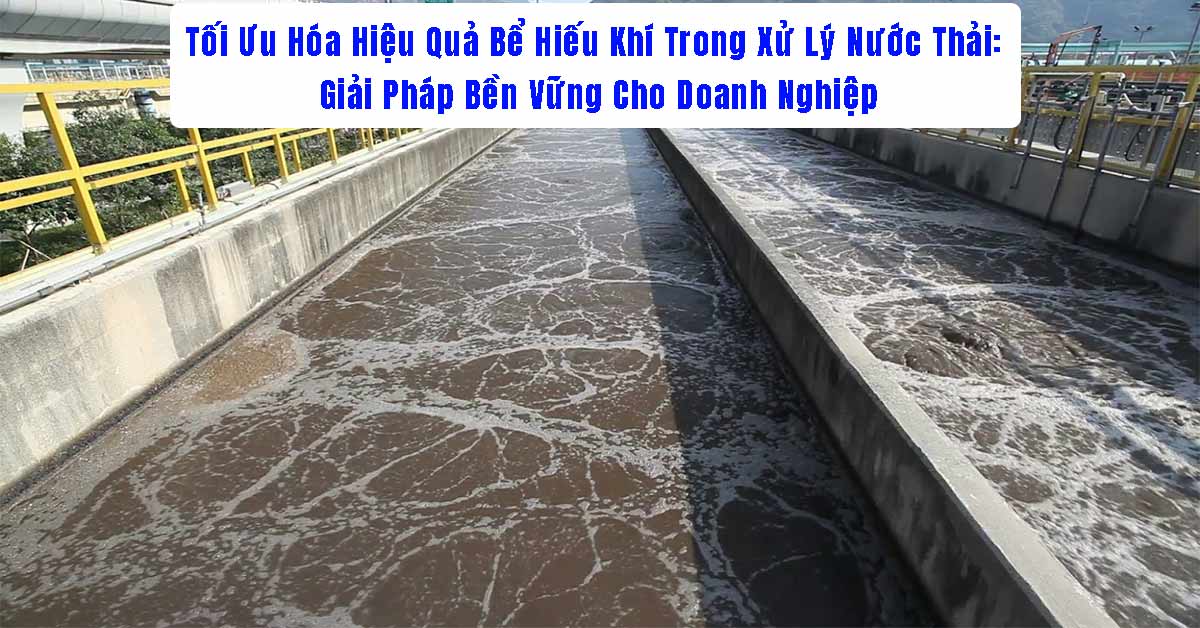 Tối Ưu Hóa Hiệu Quả Bể Hiếu Khí Trong Xử Lý Nước Thải: Giải Pháp Bền Vững Cho Doanh Nghiệp