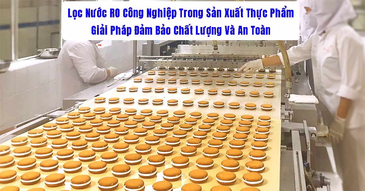 Lọc Nước RO Công Nghiệp Trong Sản Xuất Thực Phẩm: Giải Pháp Đảm Bảo Chất Lượng Và An Toàn