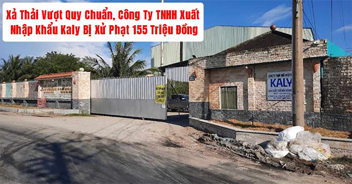 Xử Phạt Công Ty TNHH Xuất Nhập Khẩu Kaly Do Xả Thải Vượt Quy Chuẩn