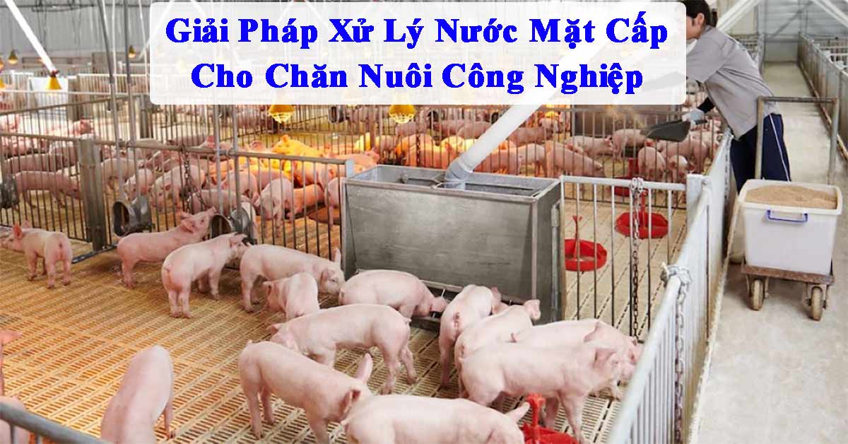 Giải Pháp Xử Lý Nước Mặt Cấp Cho Chăn Nuôi Công Nghiệp