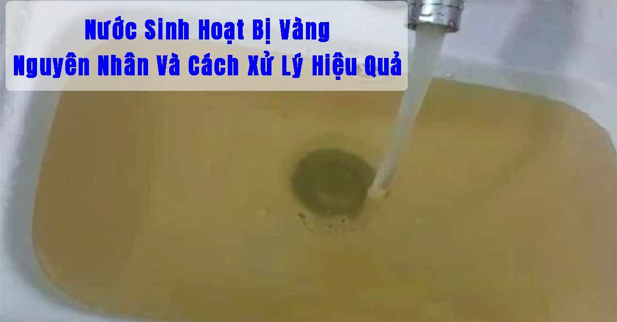 Nước Sinh Hoạt Bị Vàng: Nguyên Nhân Và Cách Xử Lý Hiệu Quả