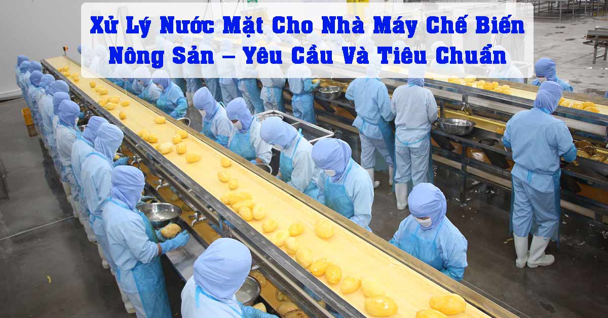 Xử Lý Nước Mặt Cho Nhà Máy Chế Biến Nông Sản – Yêu Cầu Và Tiêu Chuẩn
