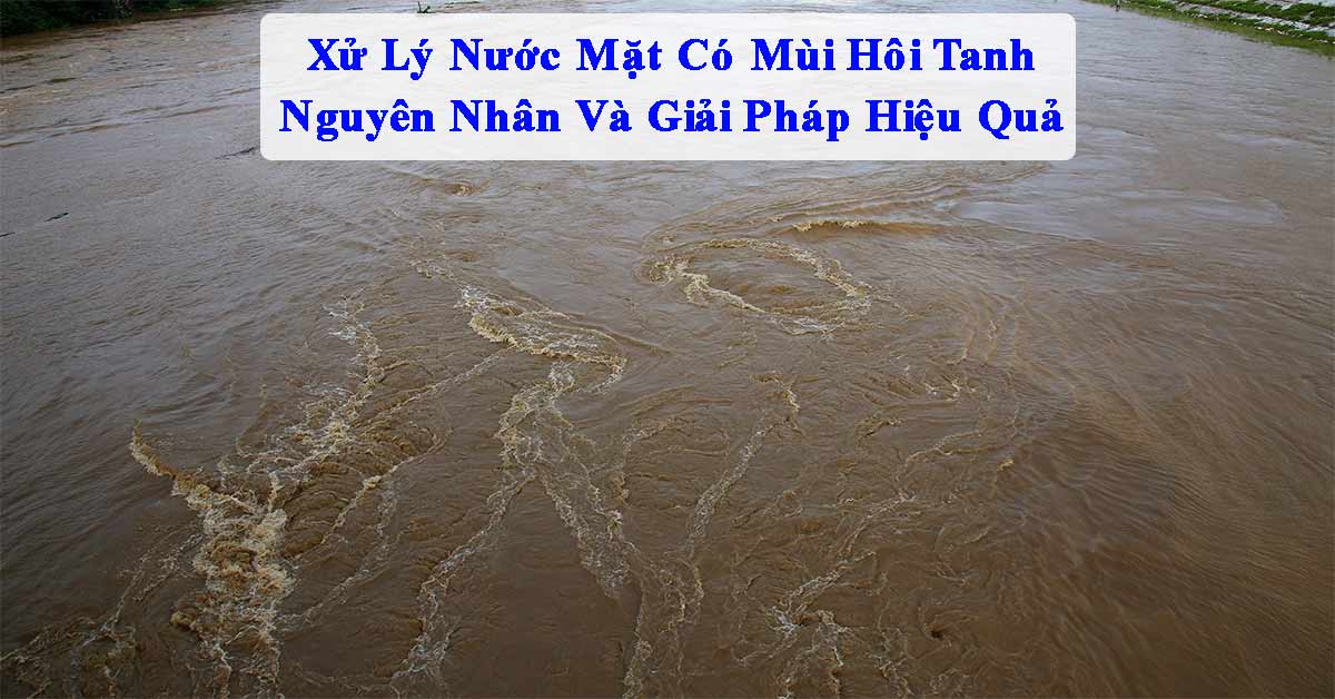 Xử Lý Nước Mặt Có Mùi Hôi Tanh: Nguyên Nhân Và Giải Pháp Hiệu Quả