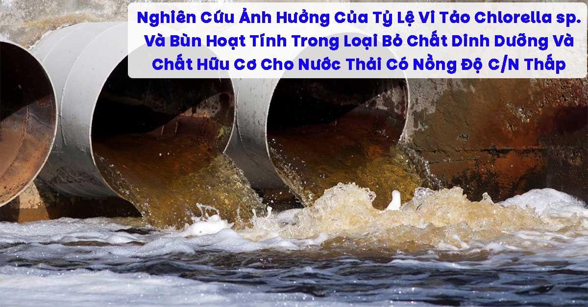 Nghiên Cứu Ảnh Hưởng Của Tỷ Lệ Vi Tảo Chlorella sp. Và Bùn Hoạt Tính Trong Loại Bỏ Chất Dinh Dưỡng Và Chất Hữu Cơ Cho Nước Thải Có Nồng Độ C/N Thấp
